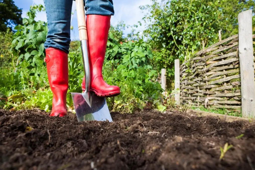 How do you till a yard without a tiller