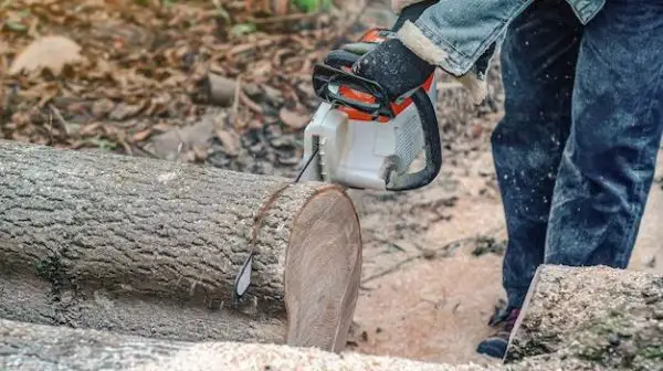 How thick can a mini chainsaw cut?