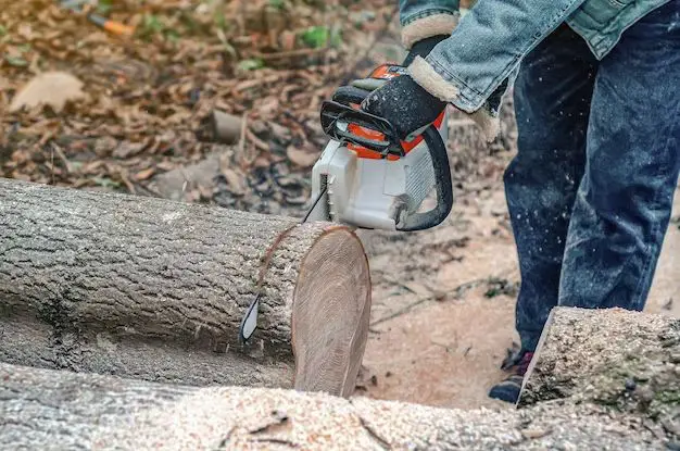 How thick can a mini chainsaw cut