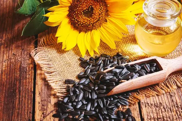 Can you use black oil sunflower seeds for planting