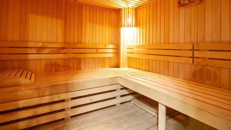 Is it cheaper to build or buy a sauna