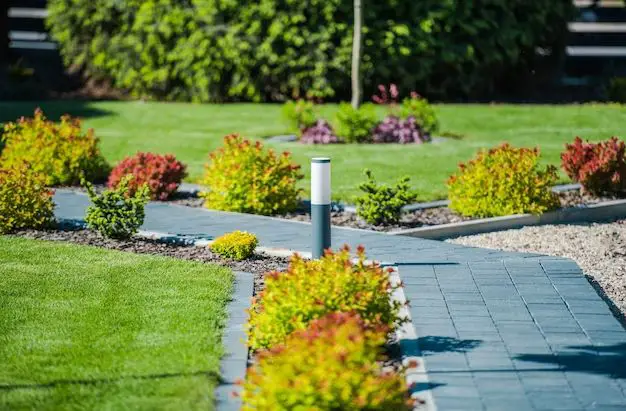 How do I landscape my front yard on a budget