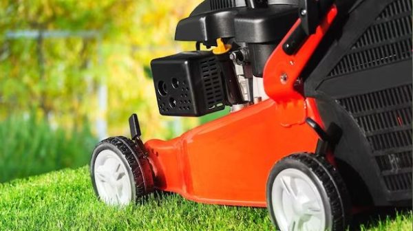 What type of oil does a Murray lawn mower take?