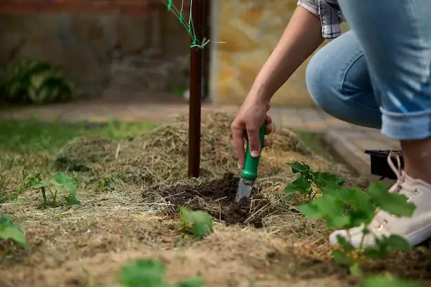 What is the best tool to use in digging holes for planting