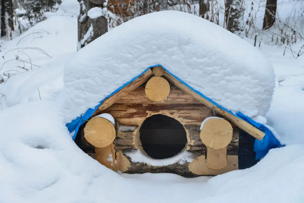 Will an insulated dog house keep my dog warm