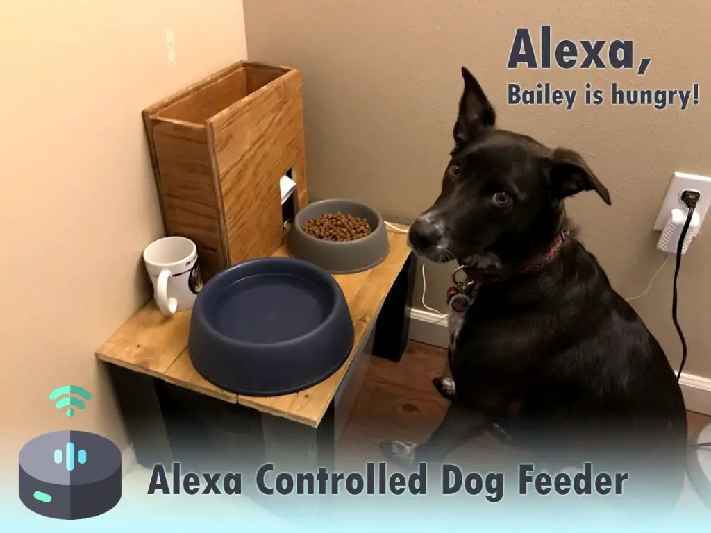 How do I add a pet feeder to Alexa