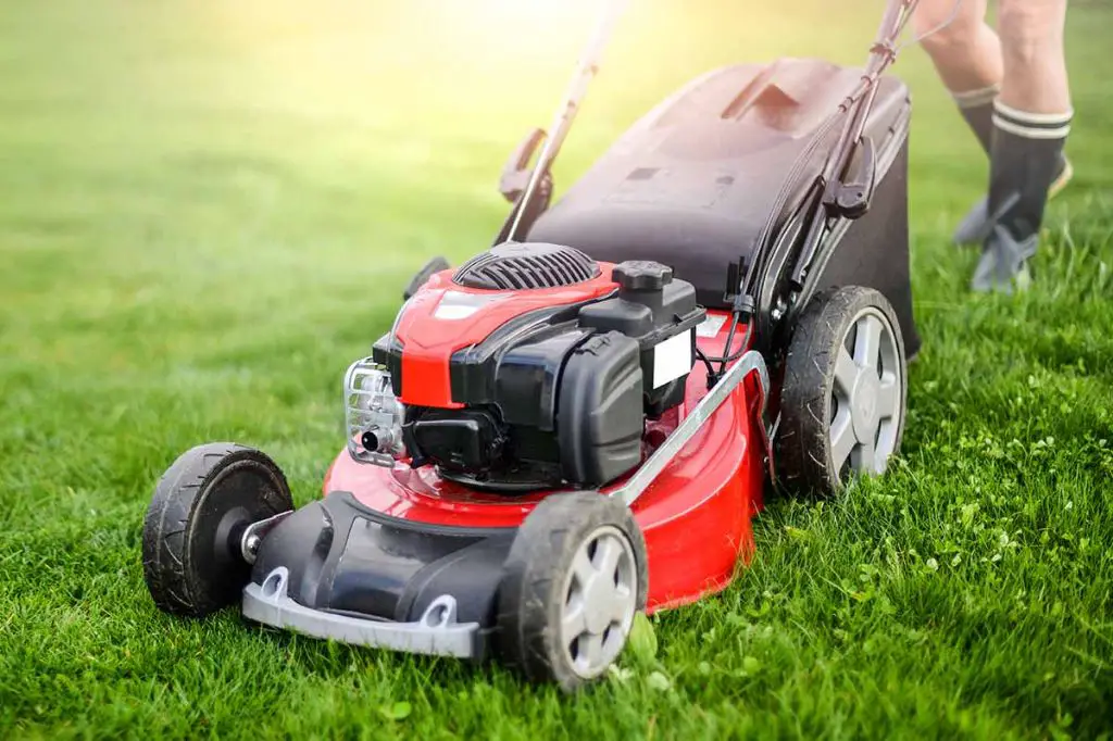 What is the best push lawn mower not self-propelled