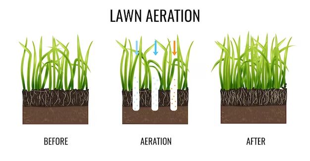 How do you make a liquid lawn aerator