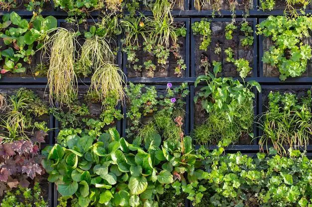 Will plants grow on a copper trellis