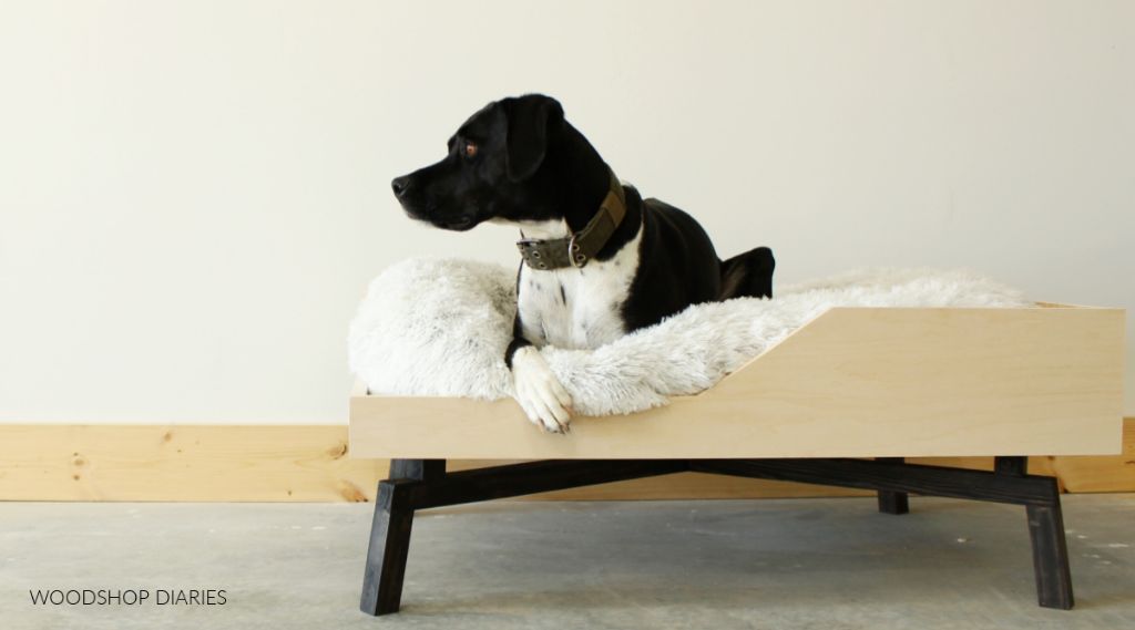 How do you make a homemade elevated dog bed