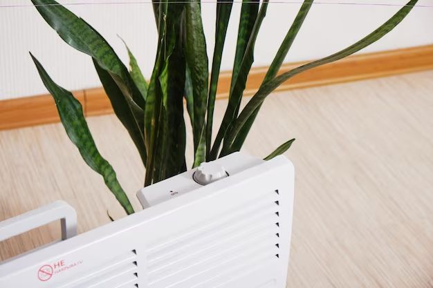 Are space heaters good for plants