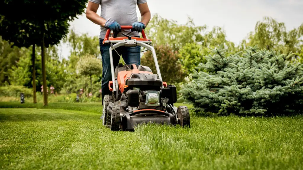 What size mower deck gives the best cut