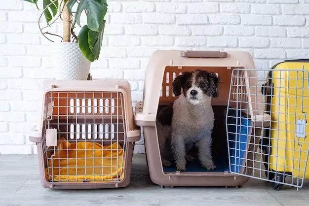 What is the sturdiest dog kennel