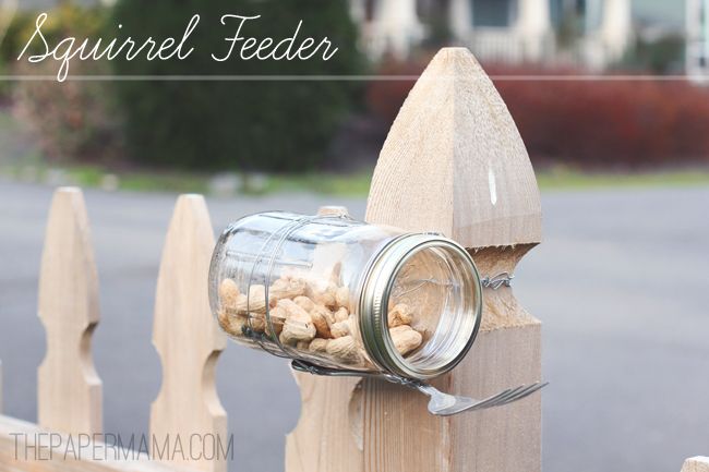 How do you make a squirrel feeder out of a jar