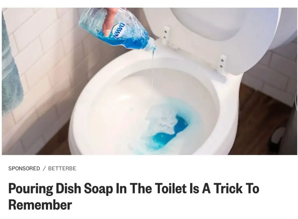 What is the purpose of putting dish soap in toilet