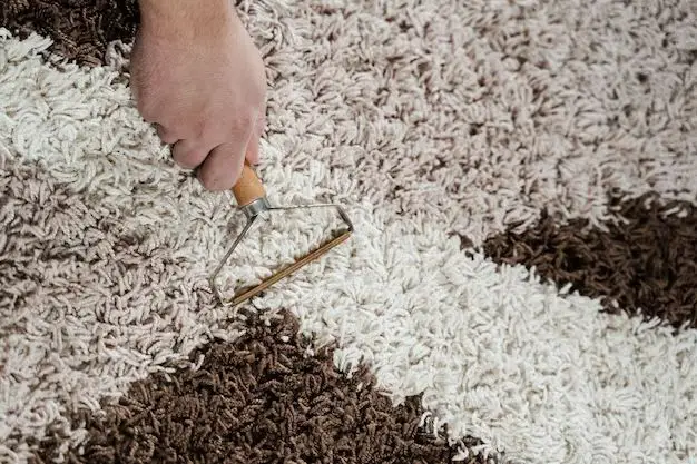 What is the best tool for getting dog hair off carpet