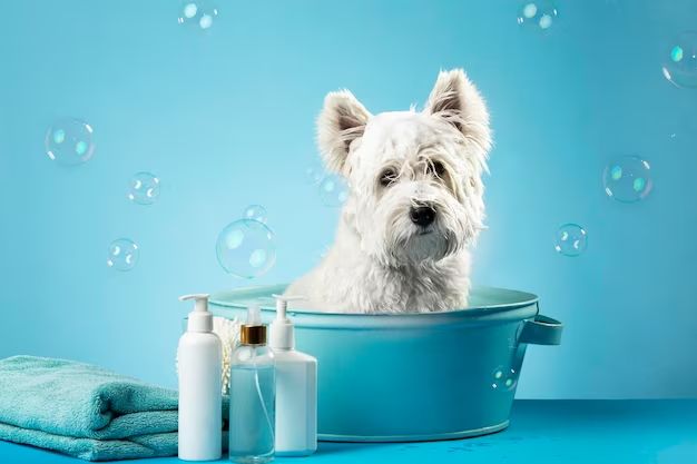 How profitable is a dog wash