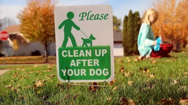 How do I stop dogs pooping outside my house?