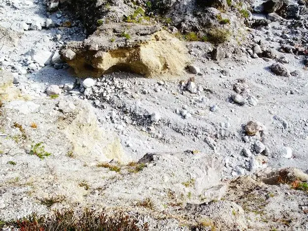 How do you make a dry creek bed look natural