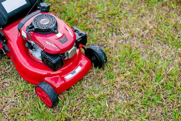 What is the best Toro lawn mower for a small yard