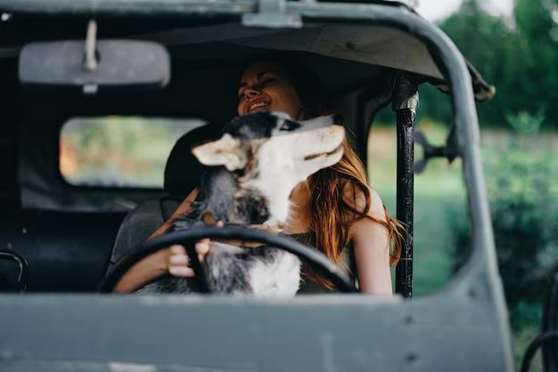 How do you carry dog poop in a car