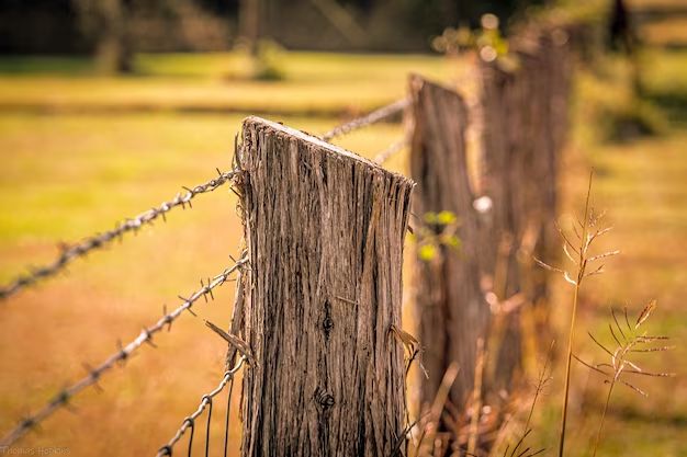 What is the rule of thumb for fence posts