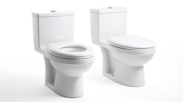 What are the components of a dual-flush toilet