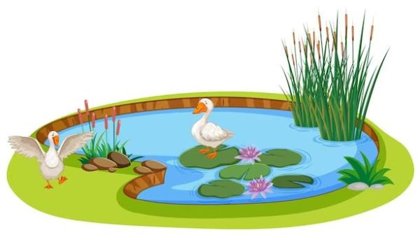 What can I use for an above ground pond?