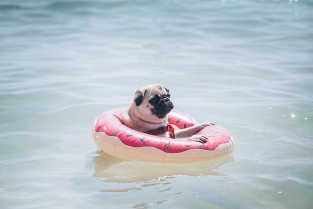 How do I make my dog's pool float