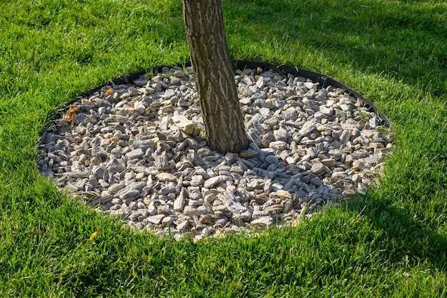 What is the best way to landscape around trees