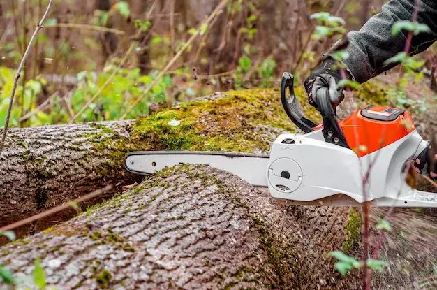 What size battery is best for a chainsaw