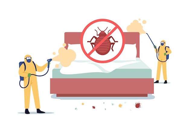 Where do you spray bed bug spray on a mattress