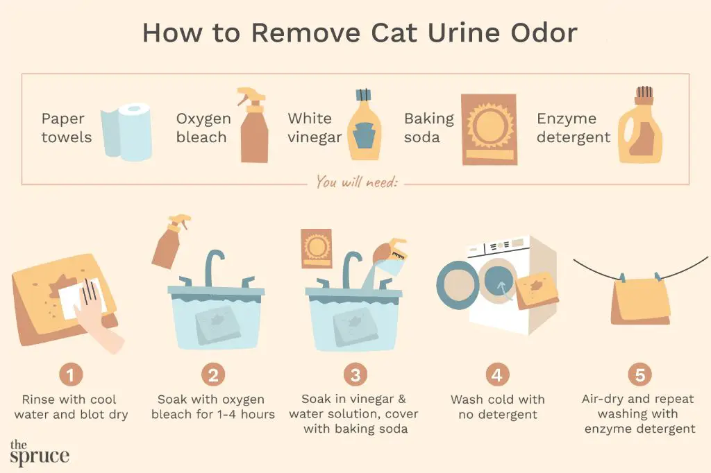 Does laundry detergent get rid of cat urine