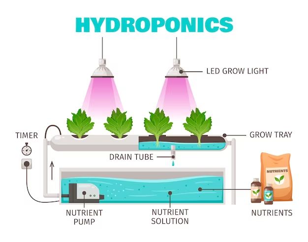 What is the easiest hydroponic system to grow