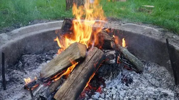 Can I burn any wood in a fire pit?