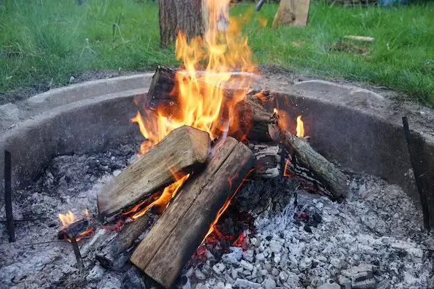 Can I burn any wood in a fire pit