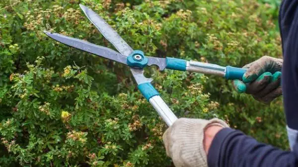 How do you sharpen lawn clippers?