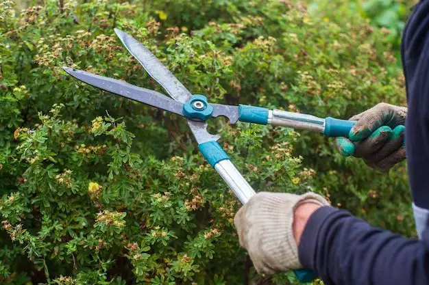 How do you sharpen lawn clippers