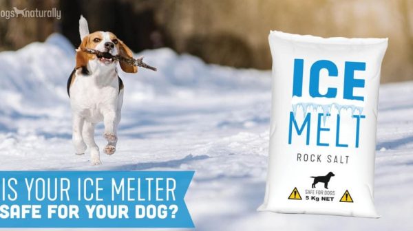 What salt is safe for dogs ice?