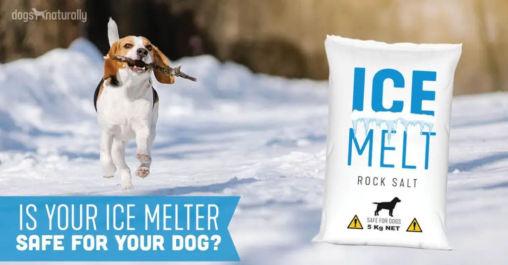 What salt is safe for dogs ice