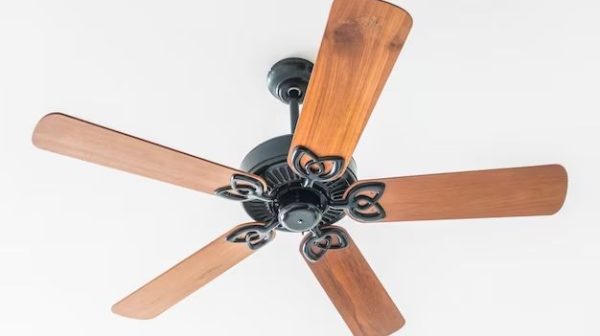 What are the trends in ceiling fans?