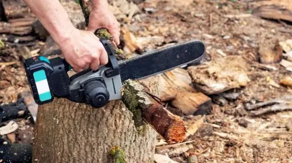 What is the best cordless electric saw for cutting tree branches?