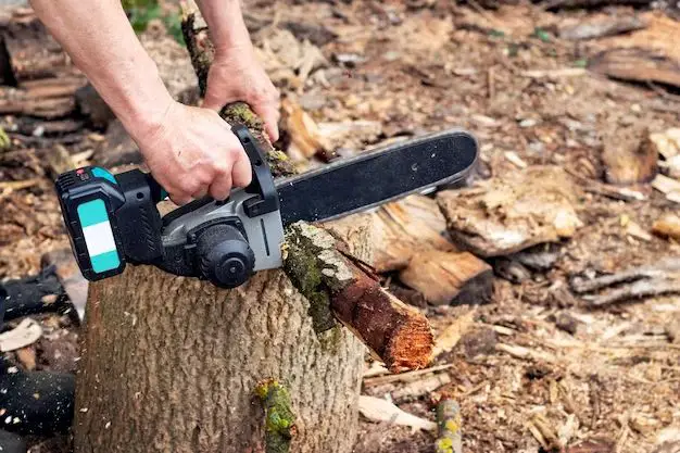 What is the best cordless electric saw for cutting tree branches