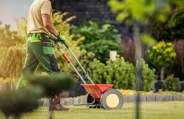 How do you apply lawn fertilizer with a spreader