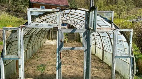 Can I make a greenhouse out of old windows?