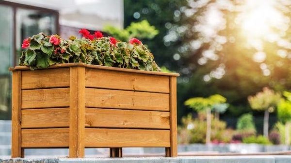 Can you put a planter box around a tree?