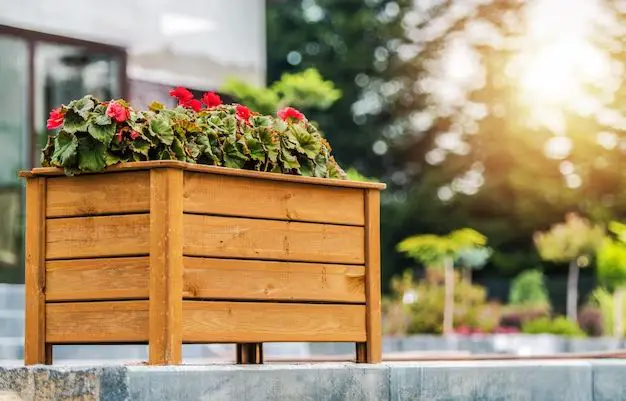 Can you put a planter box around a tree