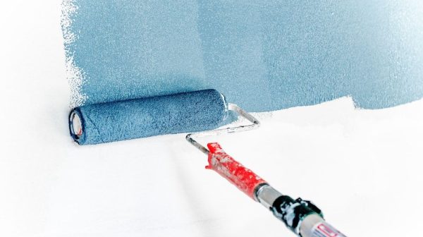 Does mold resistant paint really work?