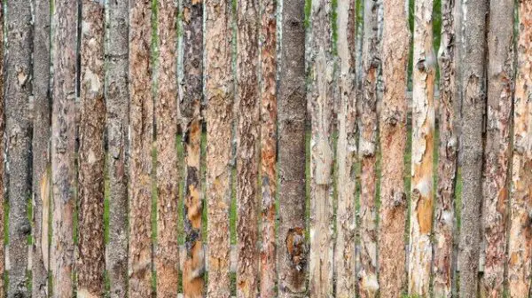 Can you use rough cut lumber for fence posts?