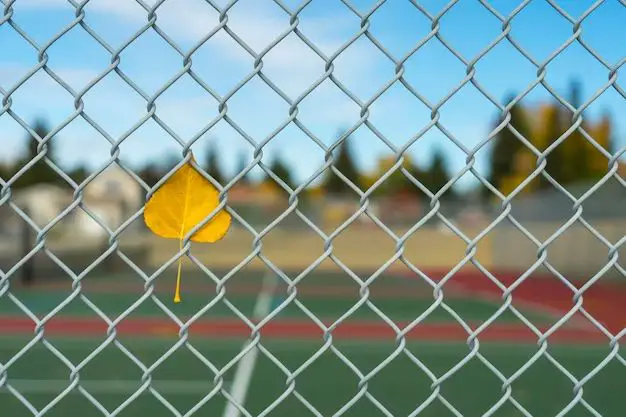 Are chain link fences good for dogs